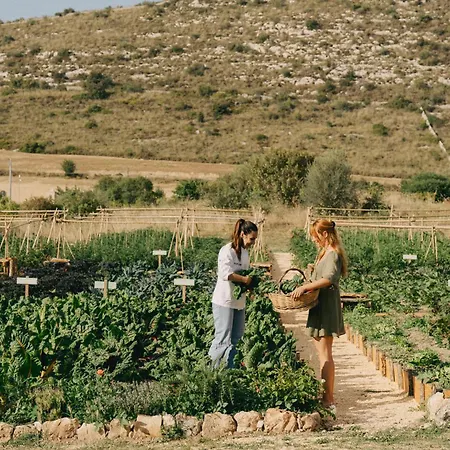 Dimora Delle Balze Feriegård *