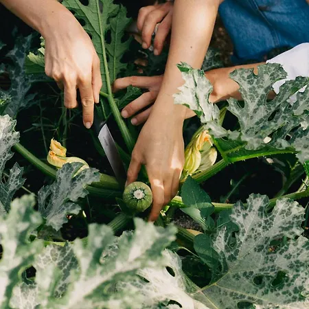 Feriegård Dimora Delle Balze *